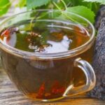 Turkey Tail Mushrooms Tea Recipe