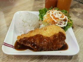 Golden crispy Japanese chicken katsu cutlets served on a white plate with shredded cabbage, steamed rice, and katsu sauce drizzled on top